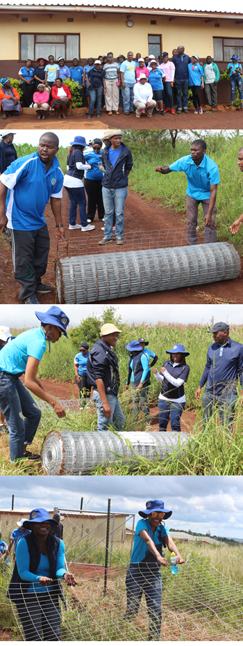 SRIC Staff help build a Community